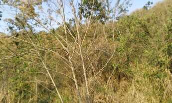 Imagem 2: Lindo Sitio com 60.000 m², em Carmo de Minas/MG