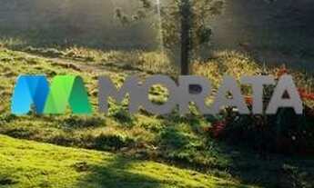 Imagem 6: OURO BRANCO - Fazenda - Zona Rural