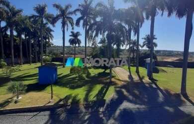 Imagem 6: PIMENTA - Sítio - Ilha do Cabaçal