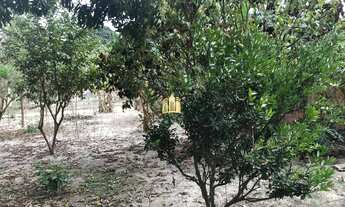 Imagem 5: Sitio no Cidade Jardim - Esmeraldas