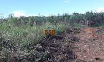 Imagem 7: Sítio de 68ha - BR190, próximo ao DF