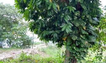 Imagem 4: Ótimo e grande terreno no bairro da Glória (Antiga Juteira Lustoza