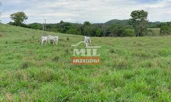 Imagem 7: Fazenda em Crixás-GO. > 54 Alq. (261 Há). Pecuária