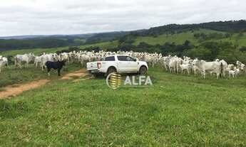Imagem 3: Fazenda à venda, 267 alqueires paulistas por R$ 19.000.000 - Rural - Aguanil/MG