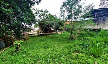 Imagem 2: Terreno/Lote/Prédio/2 Casa/4 Apartamento/Presidente Figueiredo/Área comercial ou residênci