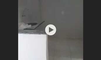 Imagem 6: Aluguel de apartamento