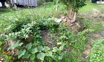 Imagem 3: CASA EM TERRENO RURAL COM FIBRA ÓTICA E POÇO ARTESIANO EM SANTO ANTÔNIO DA PATRULHA