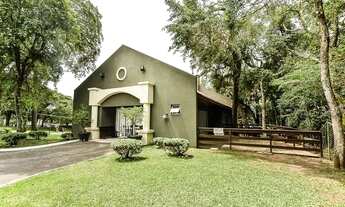 Imagem 7: CURITIBA - Casa Padrão - Orleans