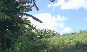 Imagem 6: Chacara em alto castelinho, vargem alta e também tenho garrafão e paraju leia