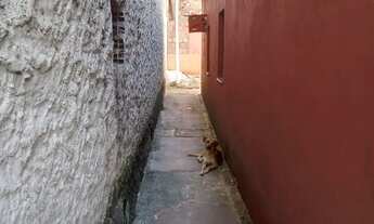 Imagem 6: Casa Casa com 3 dormitórios