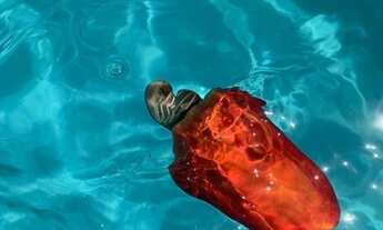 Imagem 4: Casas com piscina em Aracaju!!! LEIA