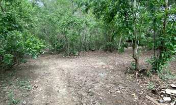 Imagem 3: Chácara Retiro do Congo Escriturada