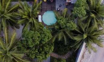 Imagem 7: Casa em ponta da fruta