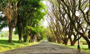Imagem 7: Itupeva - Terreno Padrão - Fazenda Serra Azul