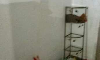 Imagem 3: Ótima Casa Em Queimados, 2 Quartos