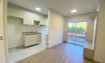 Imagem 4: LONDRINA - Padrão - Aurora