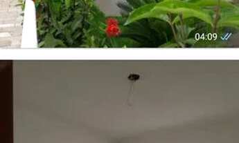 Imagem 2: Chapada do Sol Apartamento com 2 dormitórios