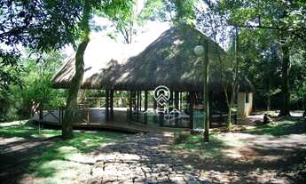 Imagem 4: Casa a venda 5 suítes, 4 vagas e piscina, Royal Forest - Londrina/PR