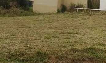 Imagem 4: Terreno Parque das Palmeiras