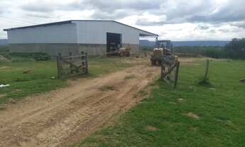 Imagem 2: Fazenda para Venda em Divinópolis de Goiás