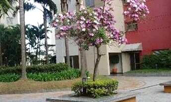 Imagem 7: Apartamento 3 dormitórios com 2 vagas de garagem