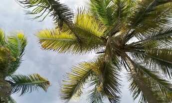 Imagem 2: Terreno portal dos lençóis