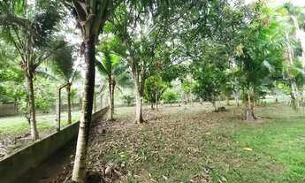 Imagem 7: Sítio no Km 26 da AM 070 Porteira Fechada