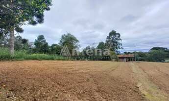 Imagem 4: Terreno à venda por R$ 250000.00, 1666.66 m2 - BARRO PRETO - SAO JOSE DOS PINHAIS/PR