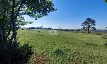 Imagem: Magnífica área para condomínio em Viamão