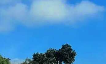 Imagem 5: Terreno à venda, Ingleses do Rio Vermelho, Florianópolis, SC