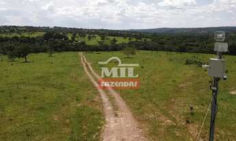 Imagem 3: Fazenda 310 alqueires (1.500,4 hectares) Catalão - GO