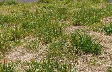 Imagem 5: Condomínio eville Rio preto próximo Alta vista