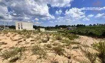 Imagem 4: Terreno à venda, 3772 m² por R$ 490.000,00 - Loteamento Bosque Merhy - Quatro Barras/PR