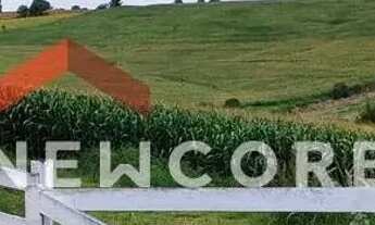 Imagem 4: Sítio em Rua Silva Jardim - Centro - Itapetininga/SP