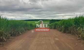 Imagem 6: Fazenda 131,7 alqueires (637,4 hectares) São Luiz do Norte - Go