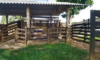 Imagem: Fazenda a venda em Ipameri - Goiás!!!
