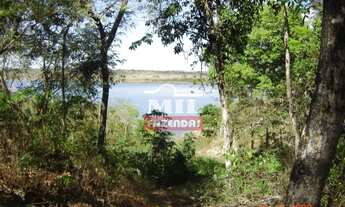 Imagem 3: Fazenda 26 alqueires (125,84 hectares) Uruaçu - Go