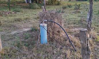 Imagem 5: Sítio excelente todo formado