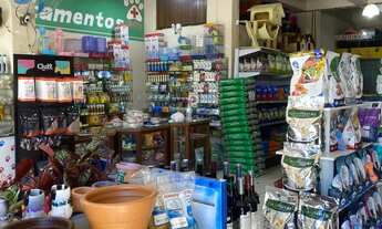 Imagem 7: Vendo ponto comercial em Guaíba rs