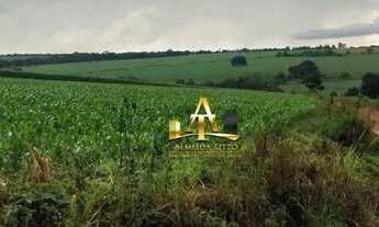 Imagem 6: Fazenda à Venda - Zona Rural - Cristianópolis/GO