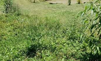 Imagem 5: Chácara com lindo lago em Juquitiba