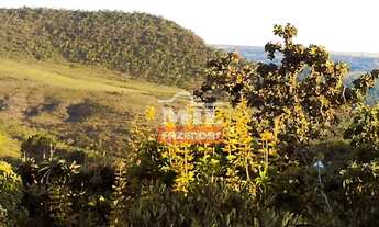 Imagem 5: Área 28.000m² ao Lado da Cachoeira do Abade ( Vendo Urgente ) Pirenólis - Go