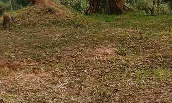 Imagem 6: Terreno no Parque dos Príncipes -SP