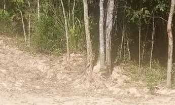 Imagem 2: Lote em condomínio em Alameda Lago da Cantareira - Rio Abaixo - Mairiporã/SP