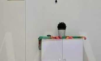 Imagem 2: Apartamento 1 dormitório mobiliado no Bairro do Boqueirão, Praia Grande/SP