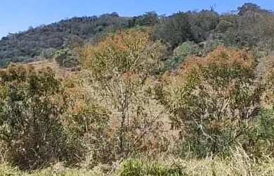 Imagem 5: Lotes para venda com 500 metros quadrados em Vila São Domingos - São Roque - SP