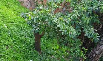 Imagem 7: Casa a venda em cajazeiras 11, ponto 11, condomínio fechado valor R$155.000,00