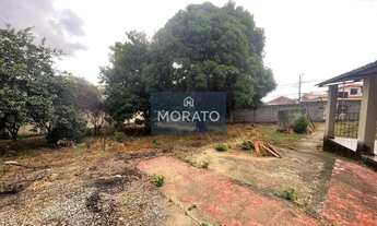 Imagem 5: Lote 400 metros quadrados no bairro Novo Progresso