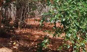 Imagem 7: VENDO Casa com 1 dormitório