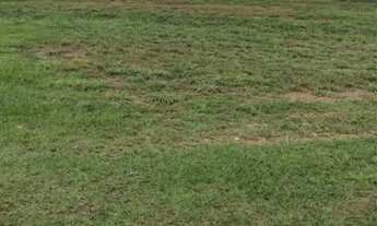 Imagem 2: Lote 300 metros jardins Bolonha